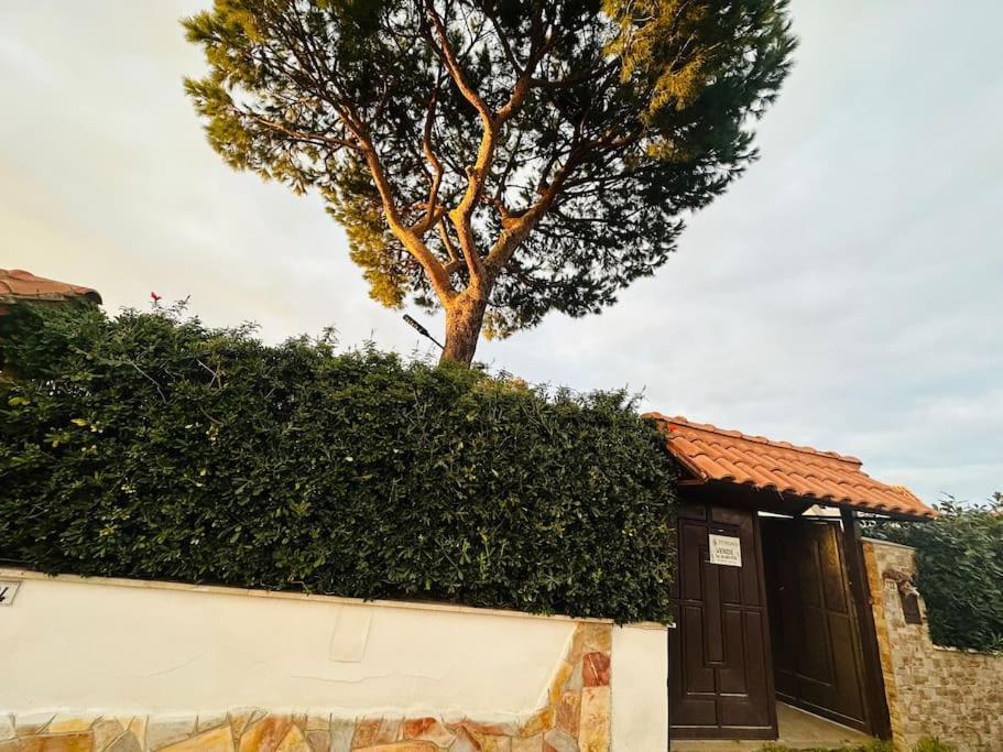 Marina di Cerveteri Fontana Houseヴィラ エクステリア 写真